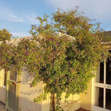 Rustic With Pool Sleeps 6 & Terrace Casa vacanze Siggiewi